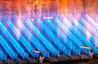 Muirton Of Ardblair gas fired boilers